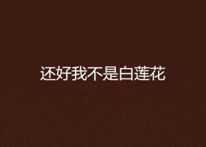 我不是白莲花