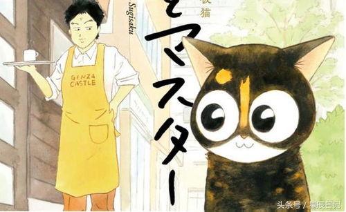 超红同人作家猫屋敷想被认同而闹别扭,渴望认同的别扭之旅