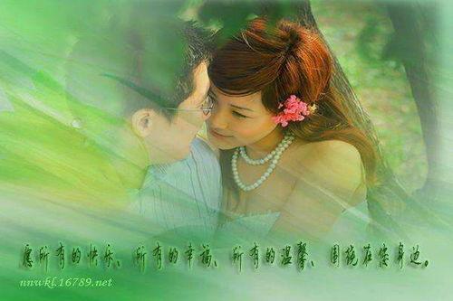 你追你的白月光！我嫁我的如意郎（你追你的白月光！我嫁我的如意郎）,追逐白月光与寻觅如意郎君的浪漫旅程